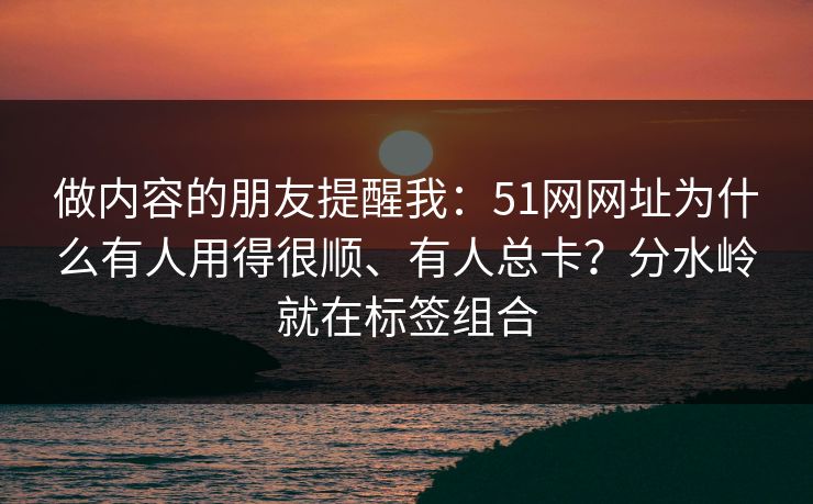 做内容的朋友提醒我：51网网址为什么有人用得很顺、有人总卡？分水岭就在标签组合